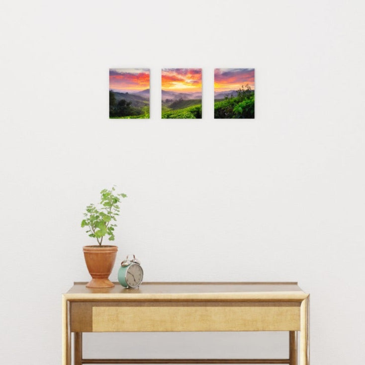 Two small landscape paintings above a wooden console table with a plant on a white wall.